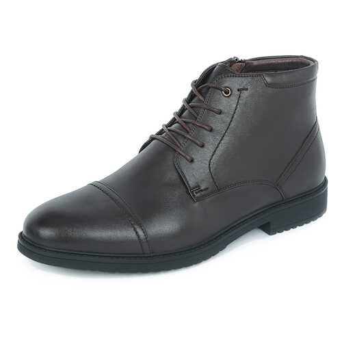 Ботинки мужские Pierre Cardin 710018537 коричневые 42 RU в Терволина
