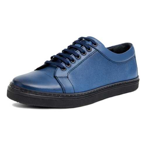 Кеды мужские Pierre Cardin 029065B0 синие 45 RU в Терволина