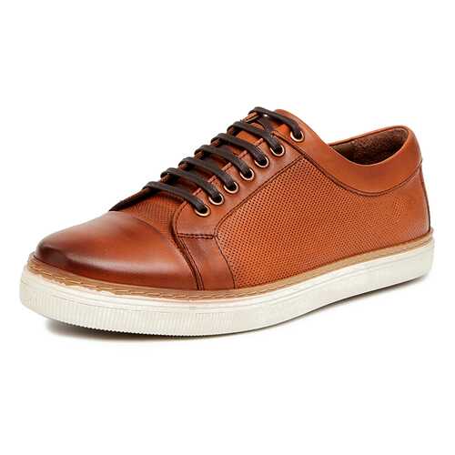 Кеды мужские Pierre Cardin 029065C0 коричневые 42 RU в Терволина