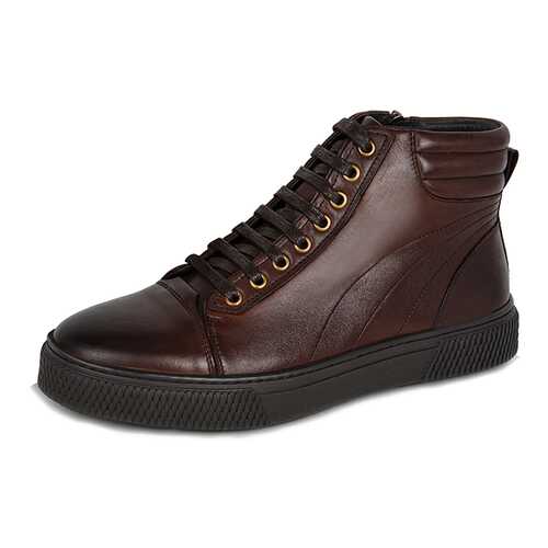 Кеды мужские Pierre Cardin FM20AW-63 коричневые 43 RU в Терволина