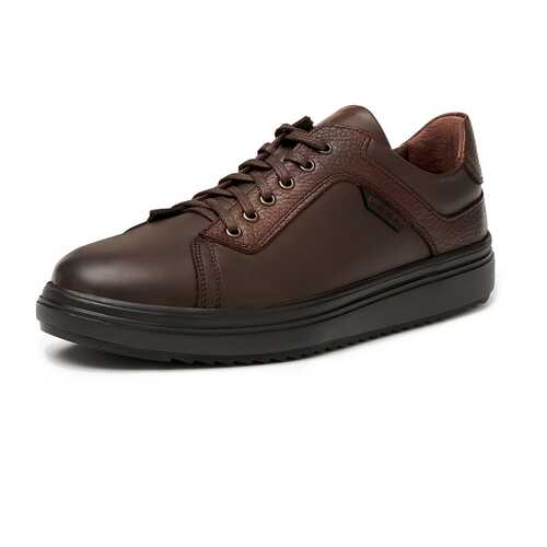 Кеды мужские Pierre Cardin TR-LR-992 коричневые 41 RU в Терволина