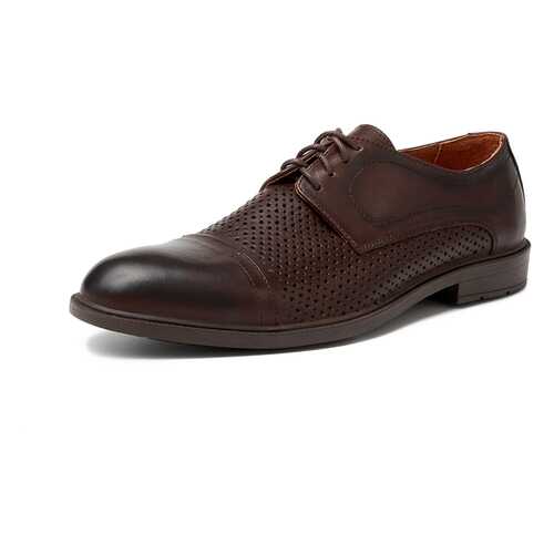 Туфли мужские Alessio Nesca M6118005 коричневые 40 RU в Терволина