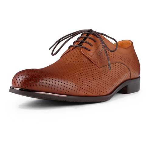Туфли мужские Pierre Cardin 03806120 коричневые 41 RU в Терволина