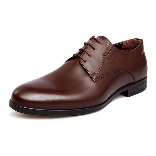 Туфли мужские Pierre Cardin 710018071 коричневые 43 RU в Терволина