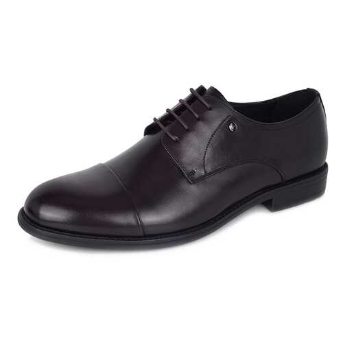 Туфли мужские Pierre Cardin DS20AW-3A коричневые 41 RU в Терволина